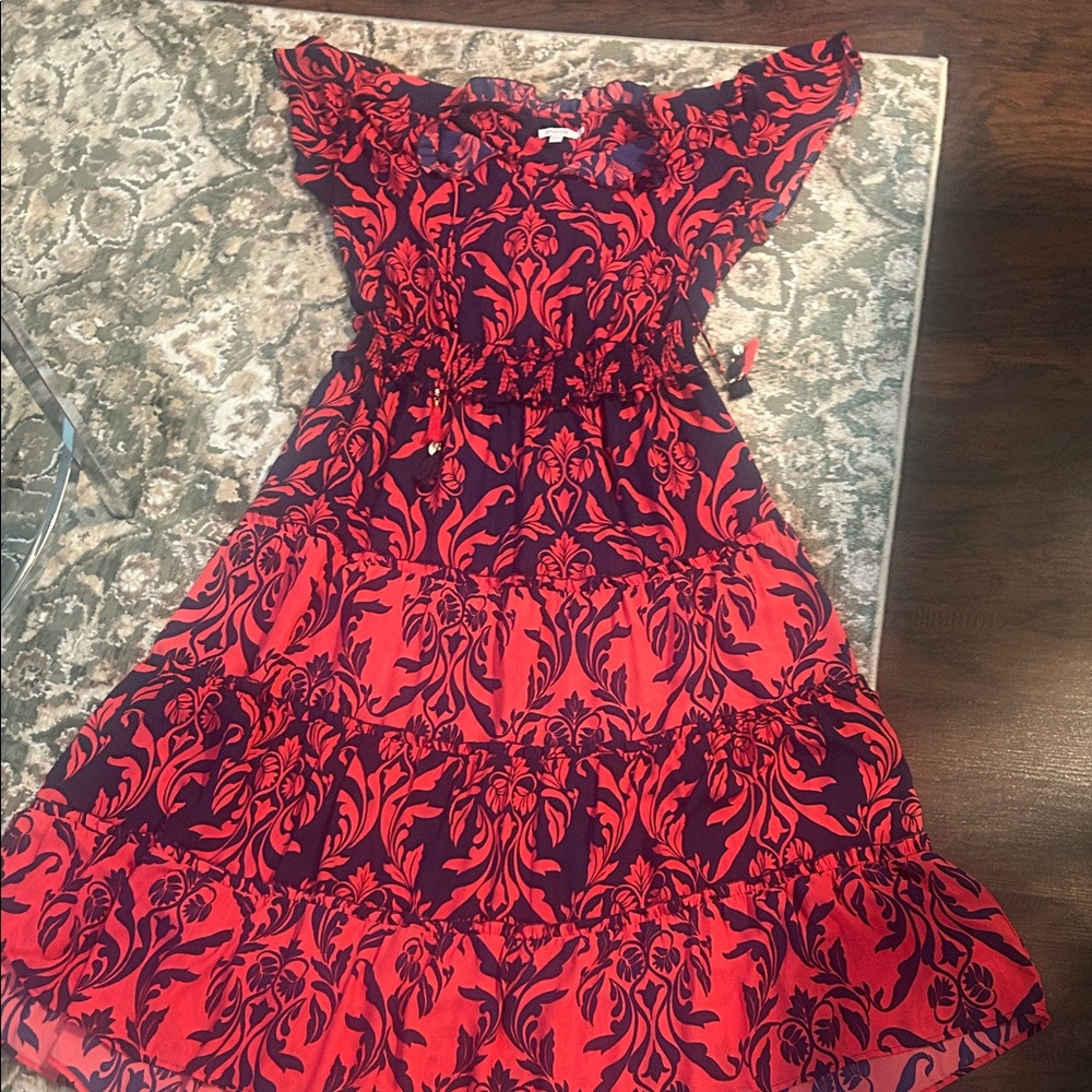 CHICO’S Red and Blue Floral Dress